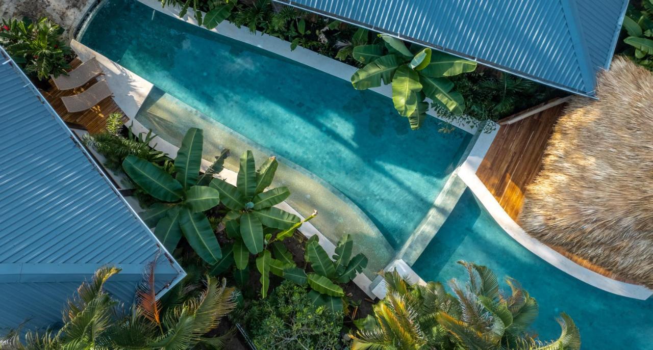 Blue Mist Hotel- Adults Only Playa Santa Teresa  Bagian luar foto
