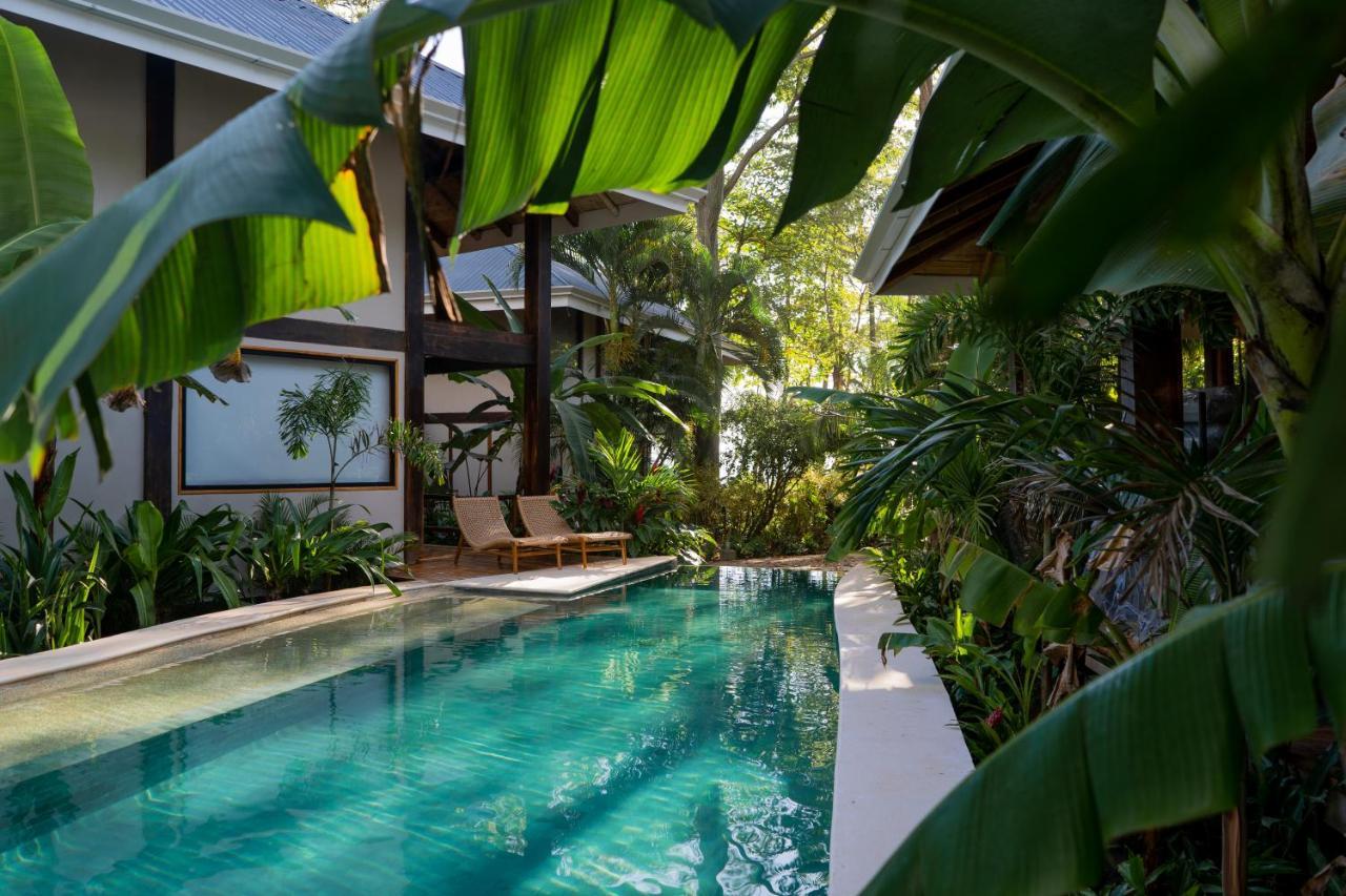 Blue Mist Hotel- Adults Only Playa Santa Teresa  Bagian luar foto